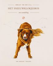 Het sneeuwklokjesbos