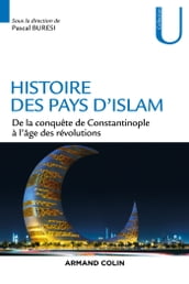 Histoire des pays d Islam