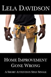 Home Improvement Gone Wrong
