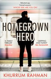 Homegrown Hero (Jay Qasim, Book 2)