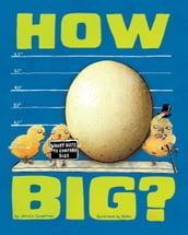 How Big?