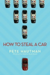 How To Steal a Car