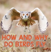 How and Why Do Birds Fly