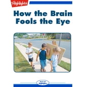 How the Brain Fools the Eye
