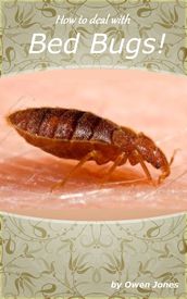 How to Deal with Bed Bugs