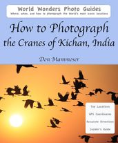 How to Photograph the Cranes of Kichan, India