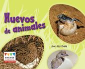 Huevos de animales