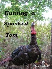 Hunting a Spooked Tom