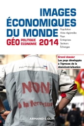 Images économiques du monde 2014