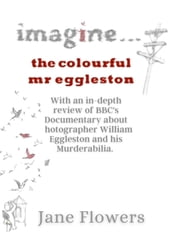Imagine The Colorful Mr. Eggleston
