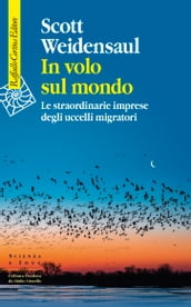 In volo sul mondo