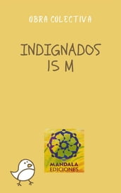 Indignados 15M Spanish revolution