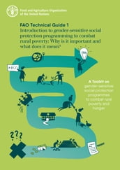 Introduction to Gender-Sensitive Social Protection Programming to Combat Rural Poverty: Why Is It Important and What Does It Mean?  Fao Technical Guide 1