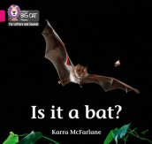 Is it a Bat?