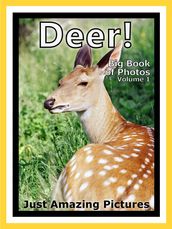 Just Deer, Fawn, and Buck Photos! Big Book of Photographs & Pictures of Deer, Fawns, and Bucks, Vol. 1
