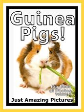Just Guinea Pig Photos! Big Book of Photographs & Pictures of Guinea Pigs, Vol. 1