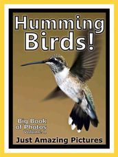 Just Humming Bird Photos! Big Book of Photographs & Pictures of Hummingbirds, Vol. 1