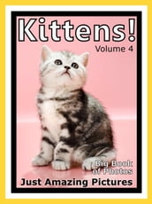 Just Kitten Photos! Big Book of Photographs & Pictures of Baby Cats & Cat Kittens, Vol. 4