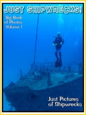 Just Shipwreck Photos! Big Book of Photographs & Pictures of Sunken Ships with Scuba Tank Divers and Ship Wrecks Treasure Hunters, Vol. 1