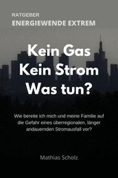 Kein Gas - Kein Strom - Was tun? Energiewende extrem