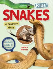 Kids  snakes of Southern Africa