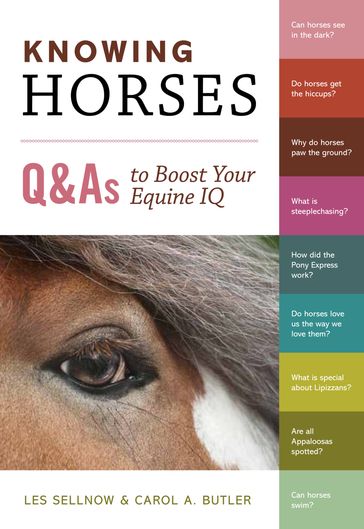 Knowing Horses - Carol A. Butler - Les Sellnow
