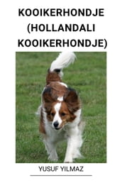 Kooikerhondje (Hollandal Kooikerhondje)