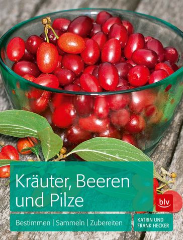 Kräuter, Beeren und Pilze - Frank Hecker - Katrin Hecker