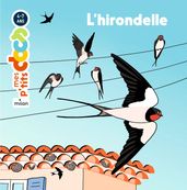 L hirondelle