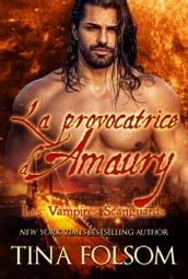 La provocatrice d Amaury