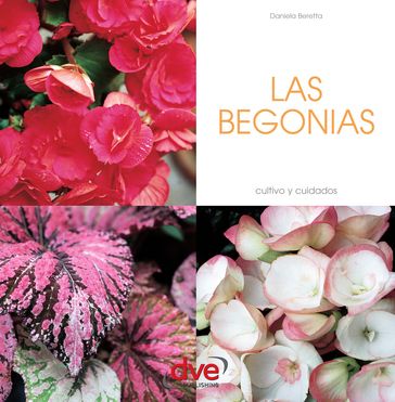 Las begonias - Daniela Beretta