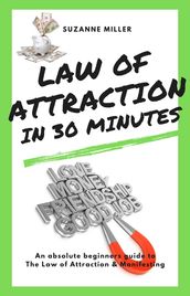 Law of Attraction in 30 minutes