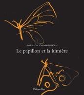 Le Papillon et la lumière