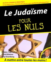 Le judaïsme pour les nuls