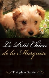 Le petit Chien de la Marquise