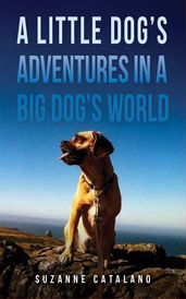A Little Dog s Adventures in a Big Dog s World
