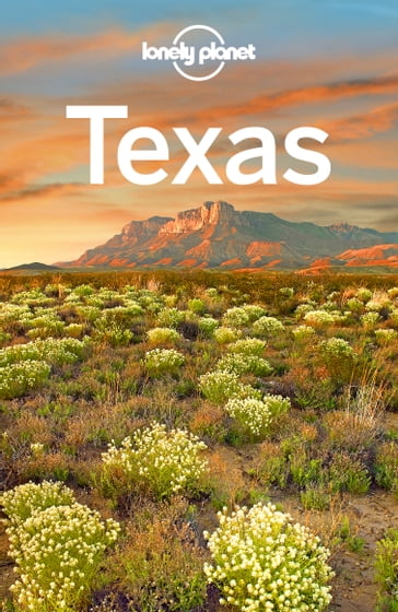 Lonely Planet Texas - Amy C Balfour - Ryan Ver Berkmoes - Stephen Lioy