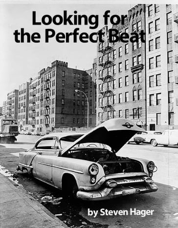 Looking for the Perfect Beat - Steven Hager