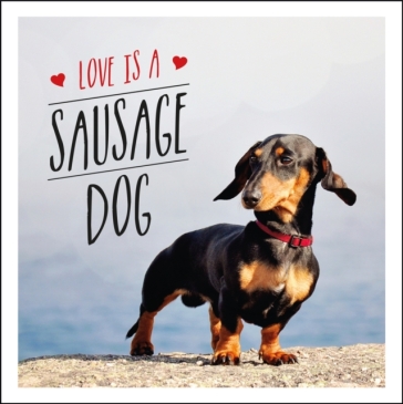 Love is a Sausage Dog - Charlie Ellis