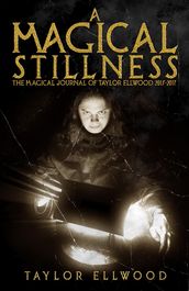 A Magical Stillness: The Magical Journals of Taylor Ellwood 2015-2017