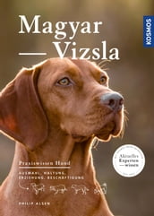 Magyar Vizsla