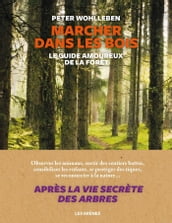 Marcher dans les bois