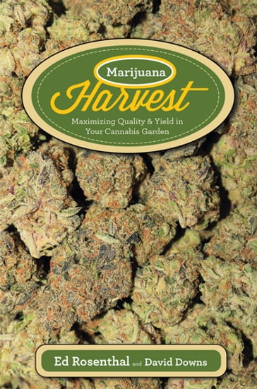 Marijuana Harvest - Ed Rosenthal