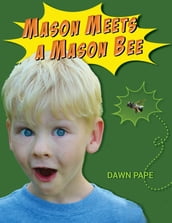 Mason Meets a Mason Bee