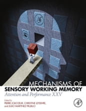 Mechanisms of Sensory Working Memory