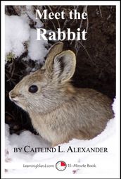 Meet the Rabbit: A 15-Minute Book for Early Readers
