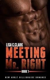 Meeting Mr. Right: Book # 1