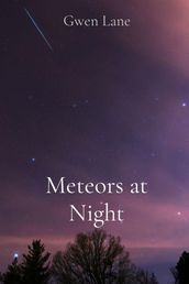 Meteors at Night