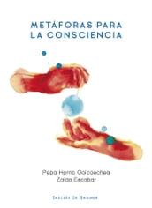 Metáforas para la consciencia