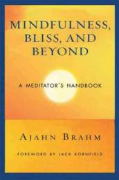 Mindfulness Bliss and Beyond